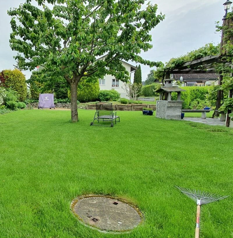 Gartenbau Winterthur – Gartenpflege im Vorgarten in Winterthur